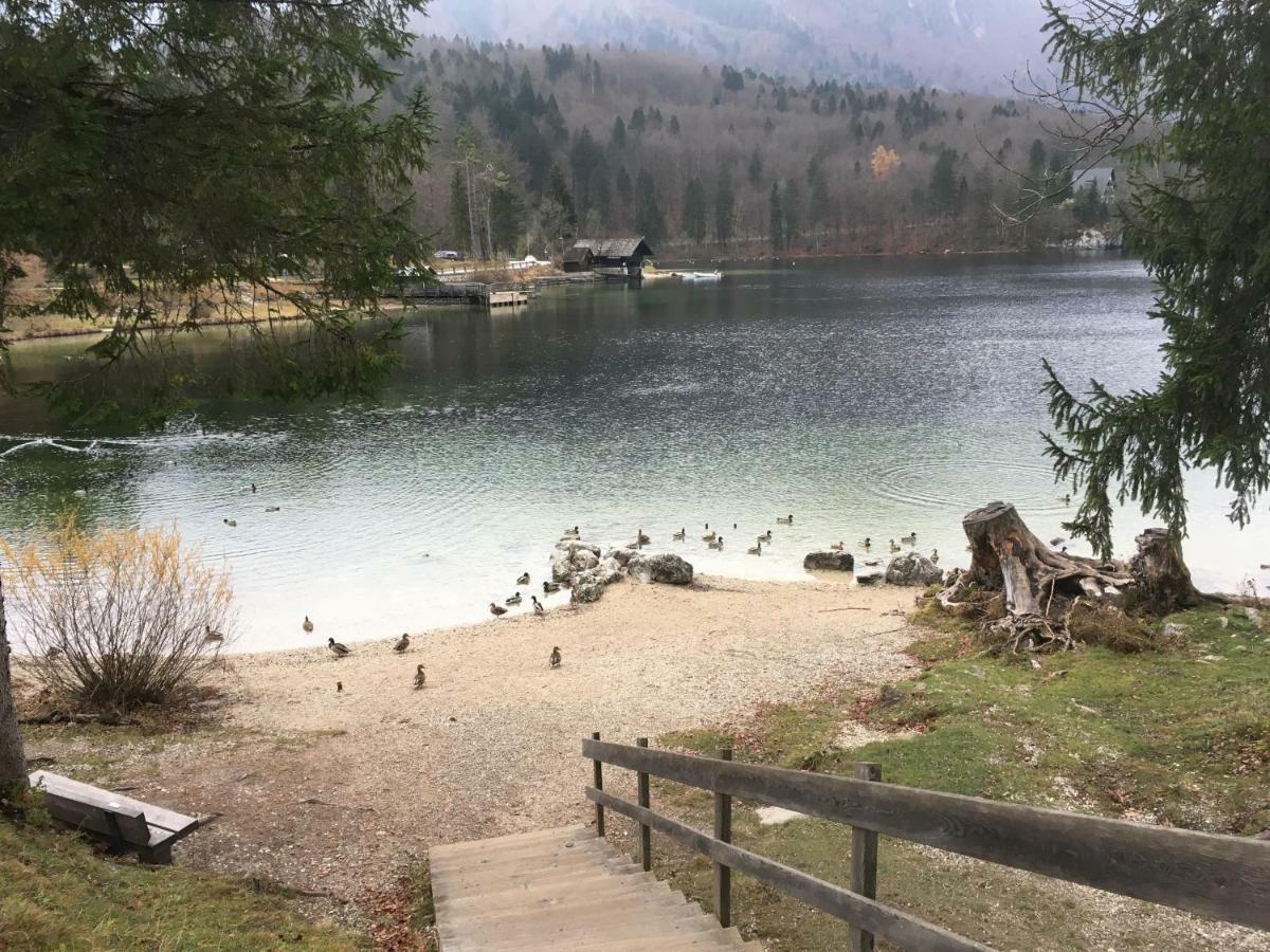 Casa Bohinj Apartment ภายนอก รูปภาพ