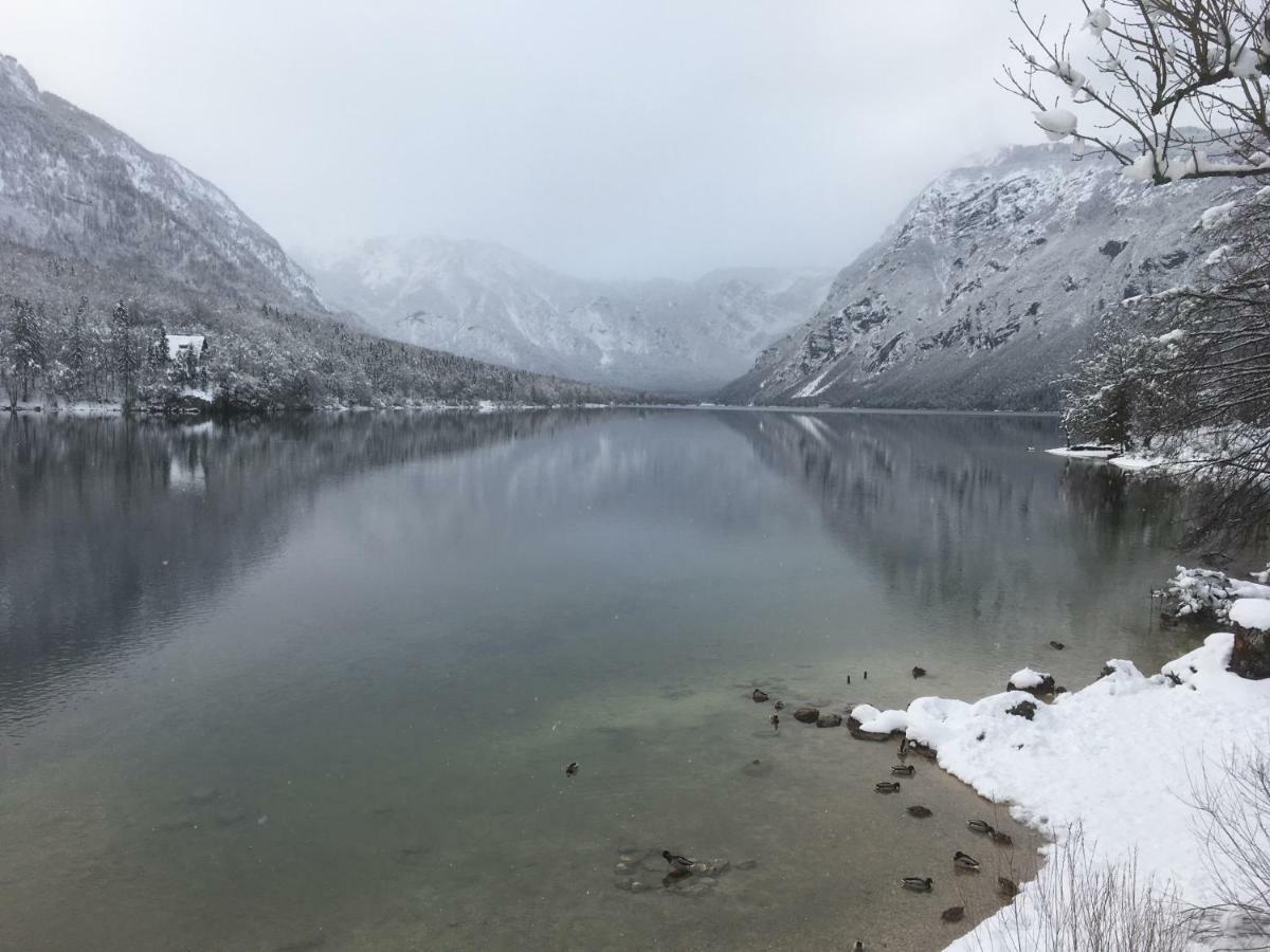 Casa Bohinj Apartment ภายนอก รูปภาพ